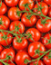 TOMATES GRAPPES.jpg