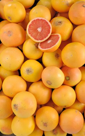 Le Pomelo rouge Corse BIO