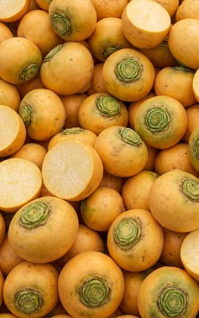 Le Navet boule d'or  BIO