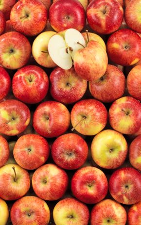 La Pomme Juliet BIO