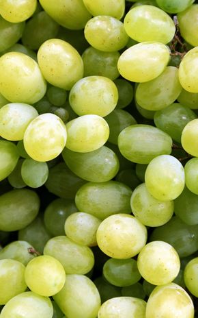 Le Raisin blanc sans pépin BIO