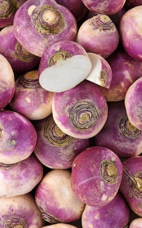 Le Navet violet BIO