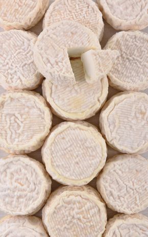 Le Fromage de chèvre affiné BIO