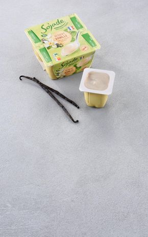 Le Dessert soja à la vanille BIO