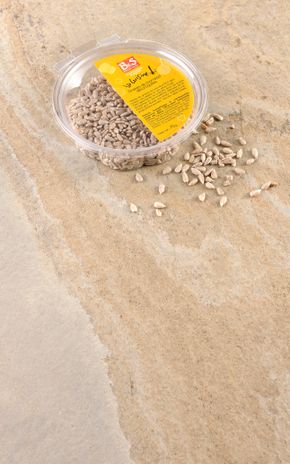 Les Graines de tournesol décortiquées