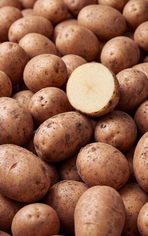La Pomme de terre  BIO non lavée et brossée