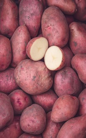 La Pomme de terre rouge BIO non lavée et brossée