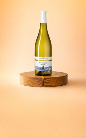 Le Vin blanc "1ère Escale 2024" Domaine Ménard Gaborit BIO