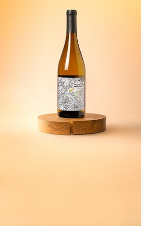 Le Vin blanc "Pas vu Pas pris" BIO