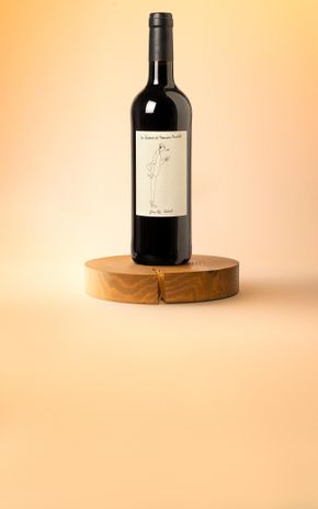 Le Vin rouge "Les vacances de Monsieur Merlot" BIO