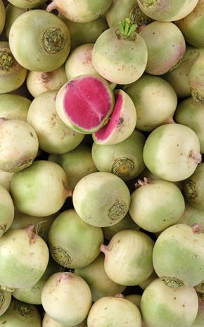 Le Radis red meat BIO