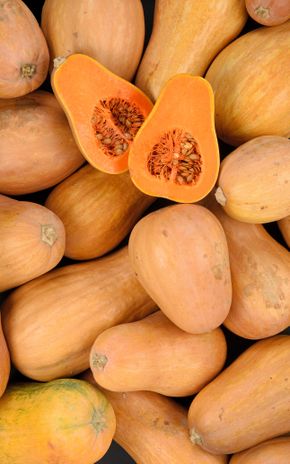 La Courge sucrine du Berry BIO