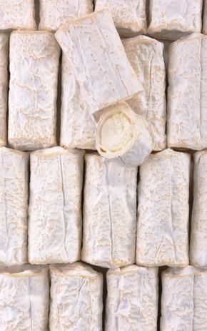 La Buche de chèvre BIO