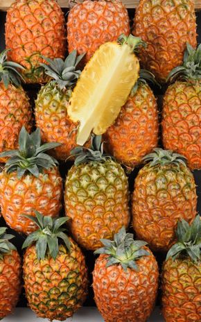 L'Ananas des Açores BIO