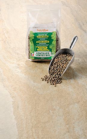 Les Lentilles vertes BIO