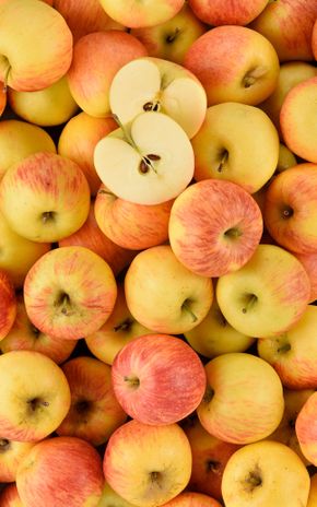 La Pomme daliclass BIO