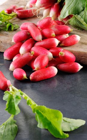 Le Radis rose équeuté
