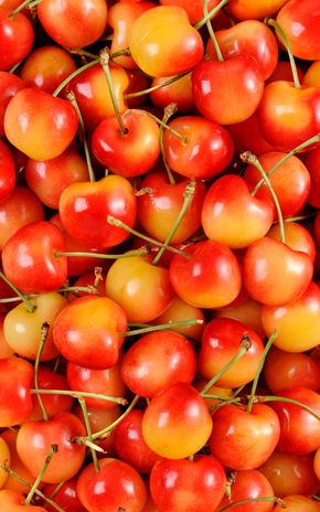 La Cerise rainier 500g