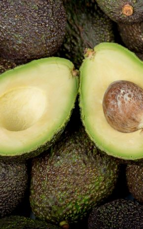 L'Avocat mûr à point