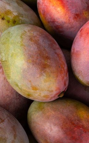 La Mangue en colis de 4kg