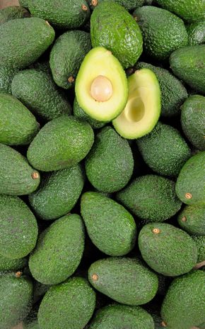 L'Avocat