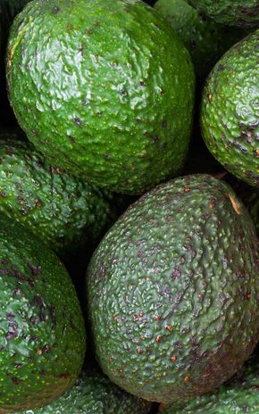L'Avocat en colis de 2kg