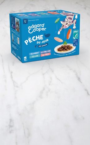 Les Pâtes pour chat Pêche du jour "Edgard & Cooper"