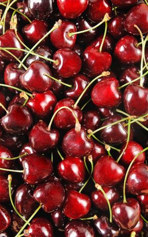 La Cerise HVE