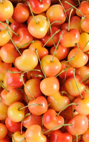 La Cerise rainier en panier