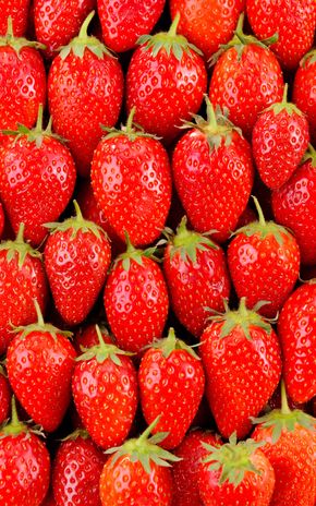 La Fraise mariguette en plateau