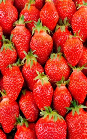 La Fraise gariguette sélection disposée à la main