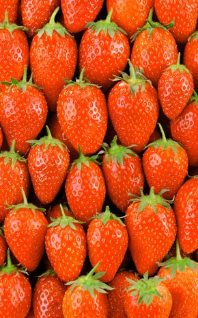 La Fraise ciflorette