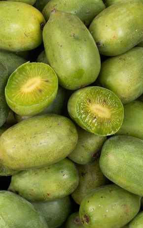 Le Baby kiwi