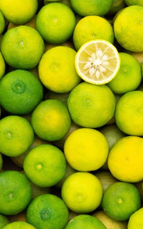 Le Citron yuzu BIO