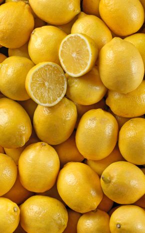 Le Citron jaune en filet
