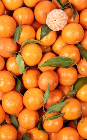 La Clémentine avec ses feuilles en colis