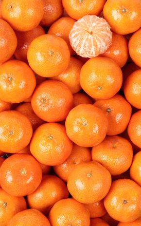 La Clémentine Socculente