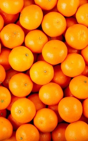 La Clémentine en filet