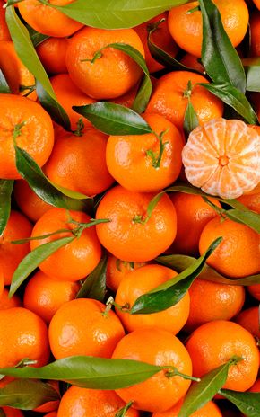 La Clémentine Corse BIO