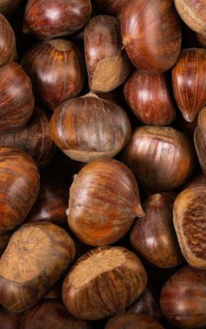 Les Marrons en filet de 1kg