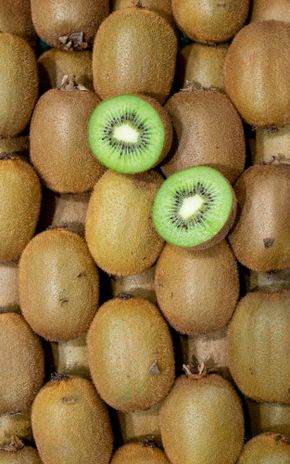 Le Kiwi vert sélection (gros calibre)
