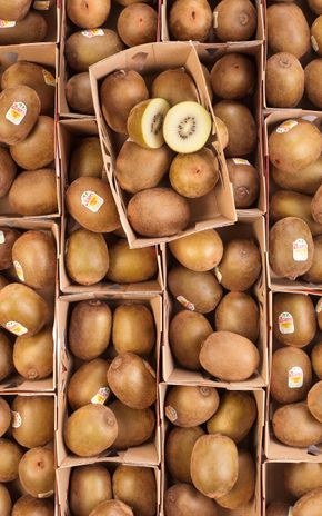 Le Kiwi sun gold