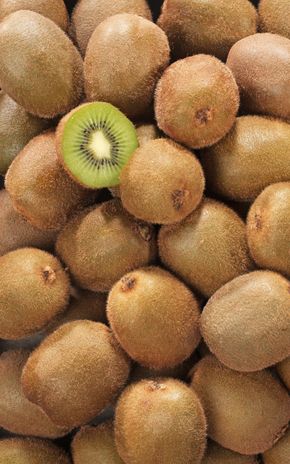 Le Kiwi vert