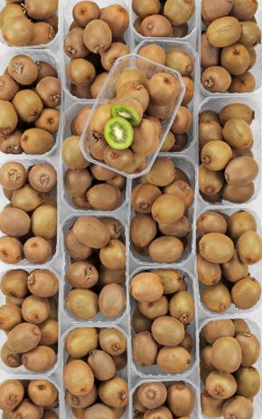 Le Kiwi  en barquette
