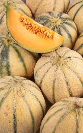 Le Melon Sélection Philibon