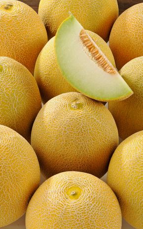 Le Melon galia