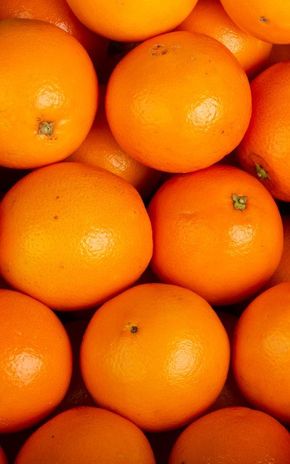 L'Orange Navel "Socculente"