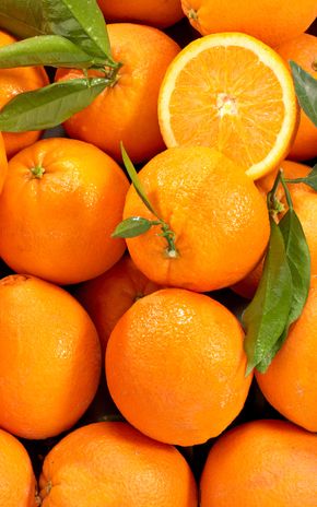 L'Orange feuille non traitée après récolte