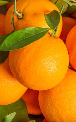 L'Orange BIO