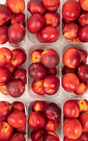 La Nectarine en barquette